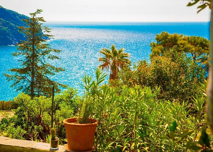 Marla House Sea View Apartament *